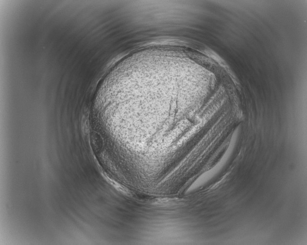X0000064721049200603031610