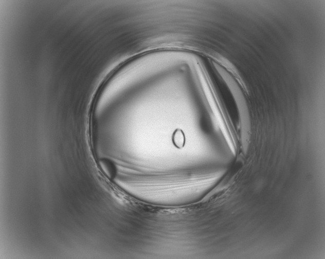 X0000064721051200603031611