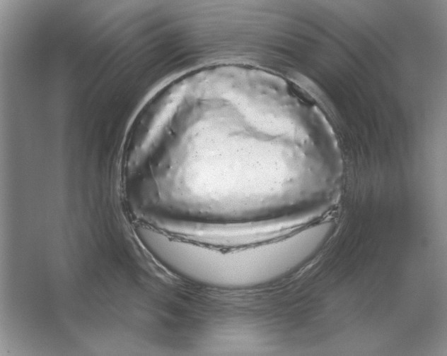 X0000064721052200603031611