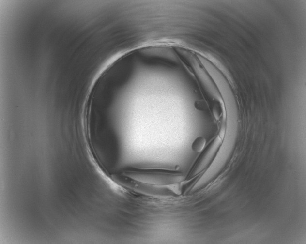 X0000064721054200603031611