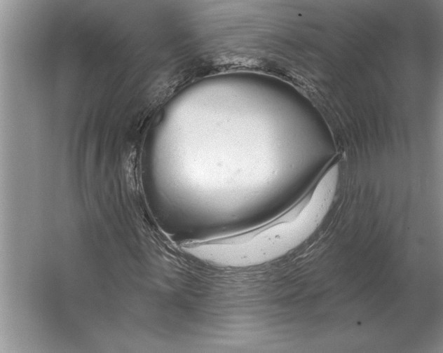 X0000064721059200603031610