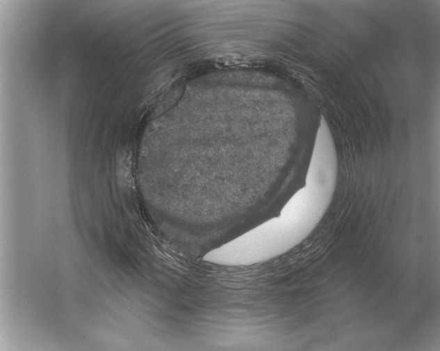 X0000064721060200603031610