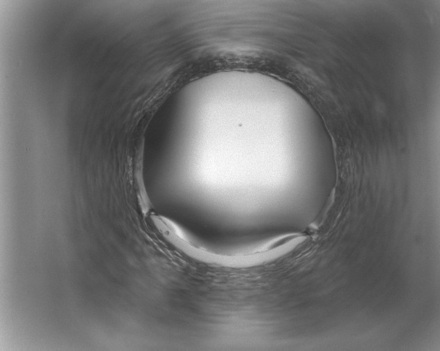 X0000064721061200603031610