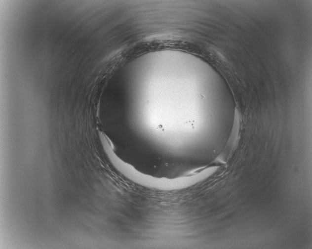 X0000064721062200603031610