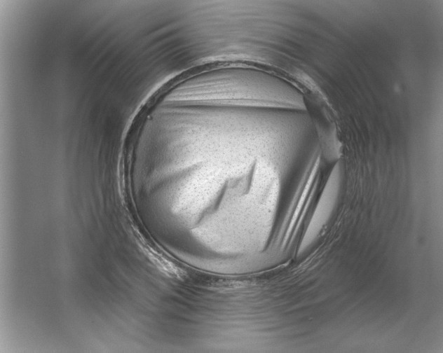 X0000064721076200603031609