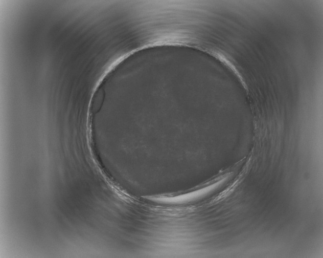 X0000064721077200603031609