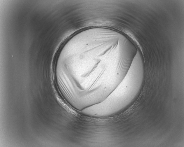 X0000064721080200603031609