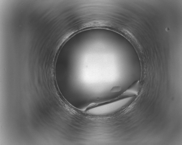 X0000064721081200603031609
