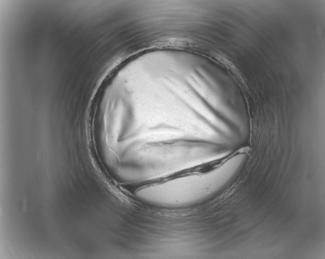 X0000064721083200603031609