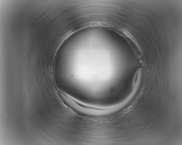 X0000064721089200603031609