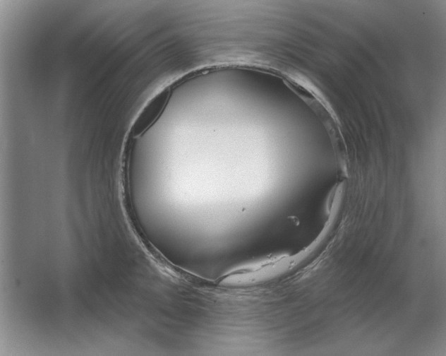 X0000064721093200603031609