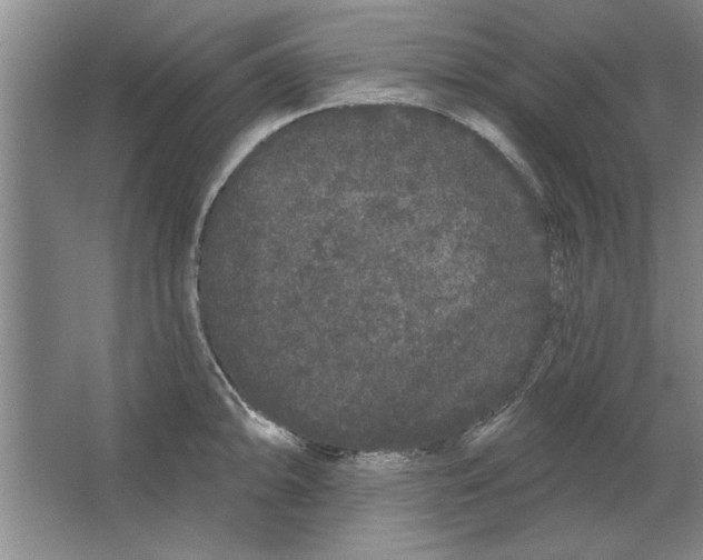 X0000064721094200603031609