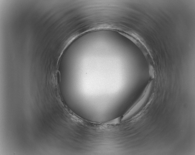X0000064721097200603031609