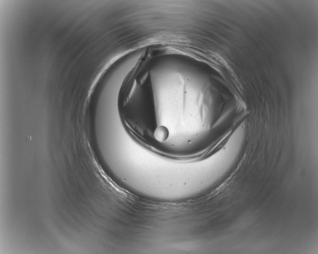 X0000064721123200603031608