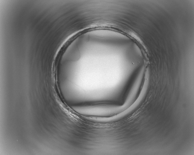 X0000064721124200603031609