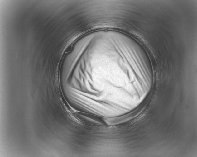 X0000064721129200603031609