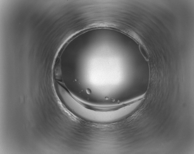 X0000064721132200603031609