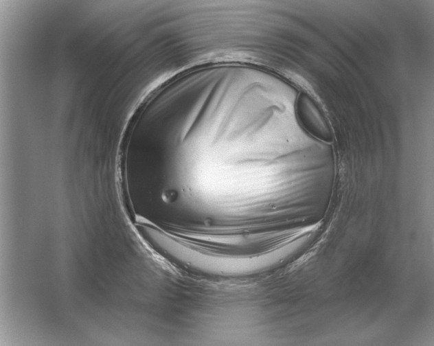 X0000064721133200603031609