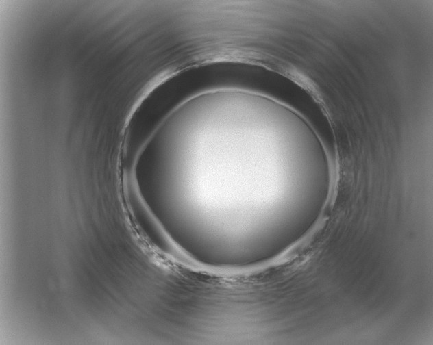 X0000064721138200603031609