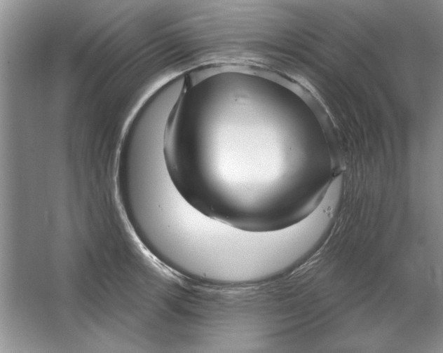 X0000064721139200603031609