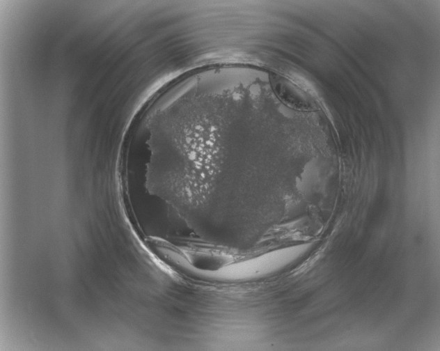 X0000064721141200603031609