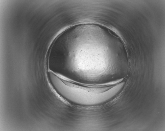 X0000064721142200603031609