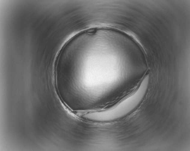 X0000064721143200603031609