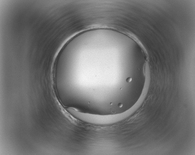 X0000064721148200603031609