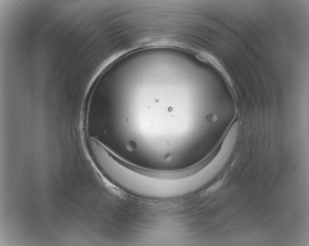 X0000064721149200603031609