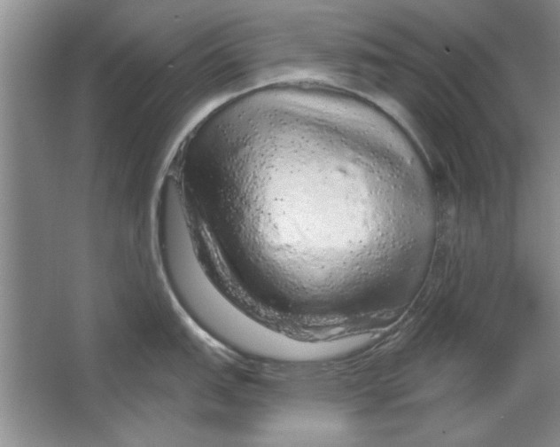 X0000064721151200603031609