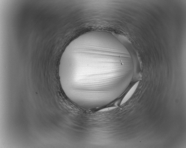 X0000064721153200603031608