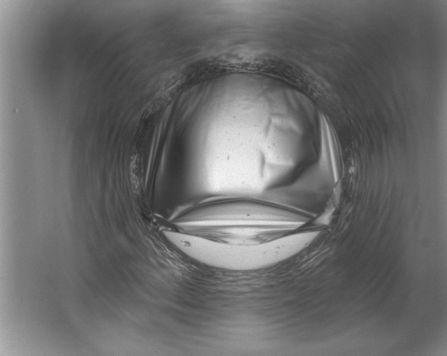 X0000064721156200603031608