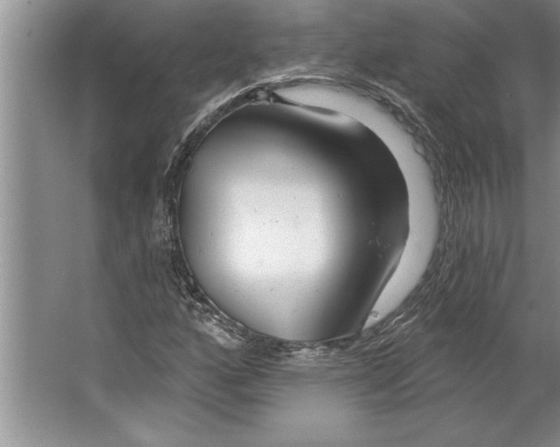 X0000064721160200603031608