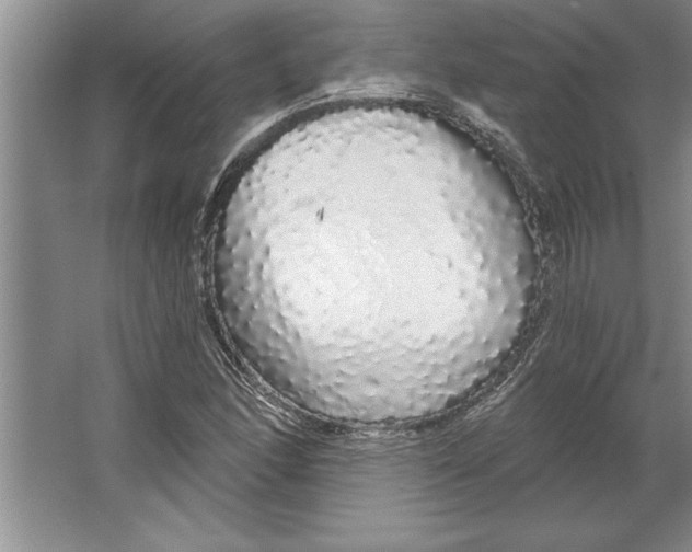 X0000064721166200603031608