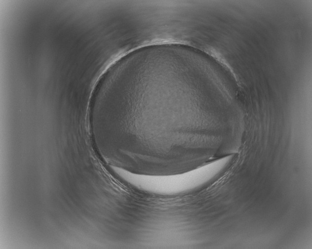 X0000064721173200603031608