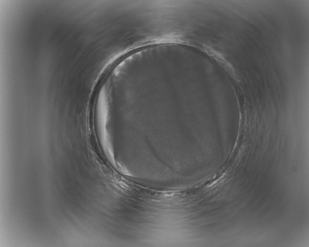 X0000064721174200603031608
