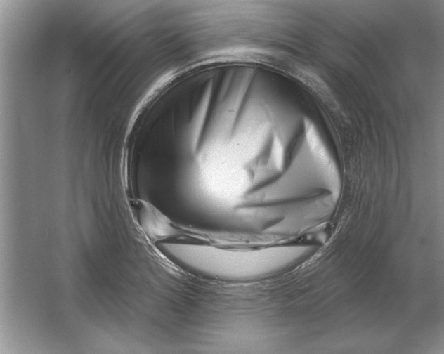 X0000064721180200603031608