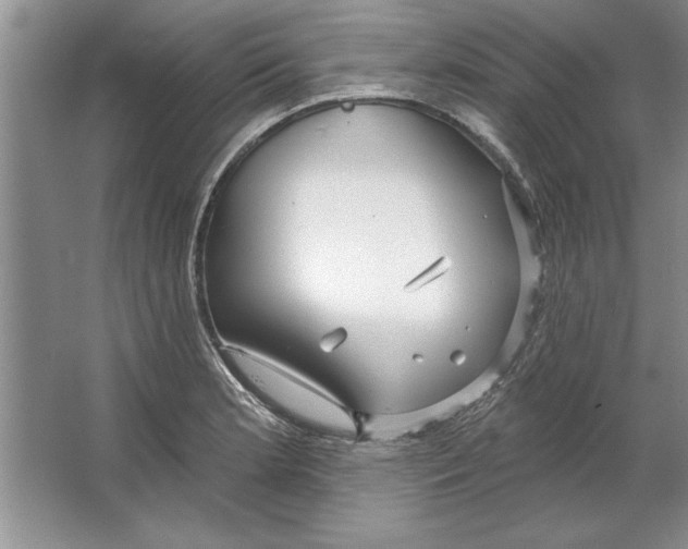 X0000064721181200603031608