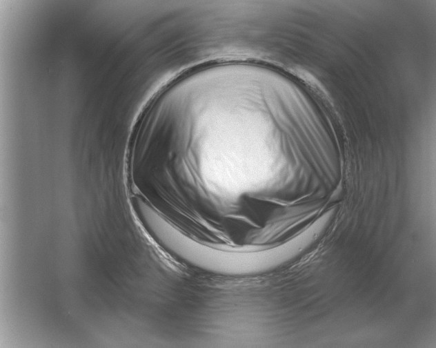 X0000064721183200603031608