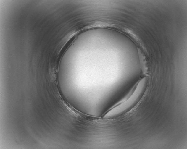 X0000064721185200603031608