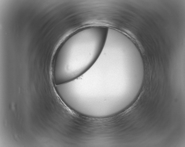 X0000064721188200603031608