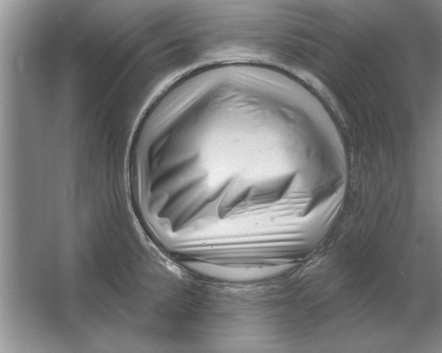 X0000064721191200603031608