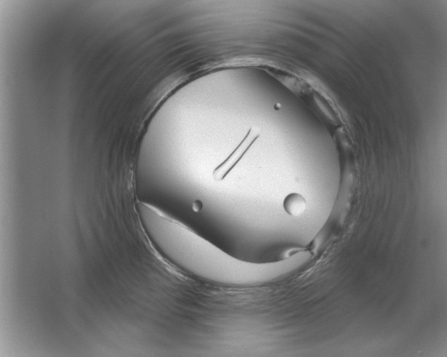X0000064721193200603031608