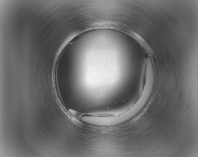 X0000064721196200603031607