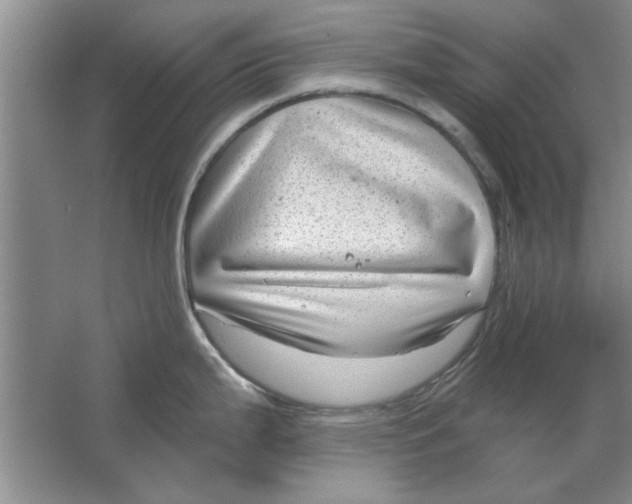 X0000064721199200603031607