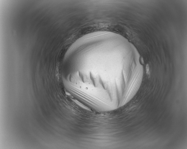 X0000064721203200603031607