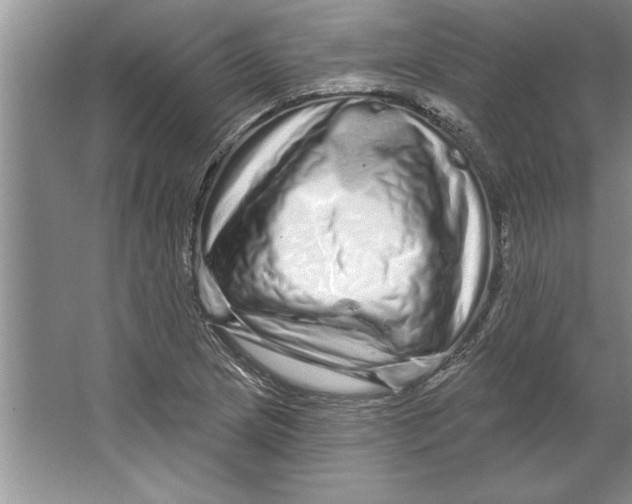 X0000064721217200603031607