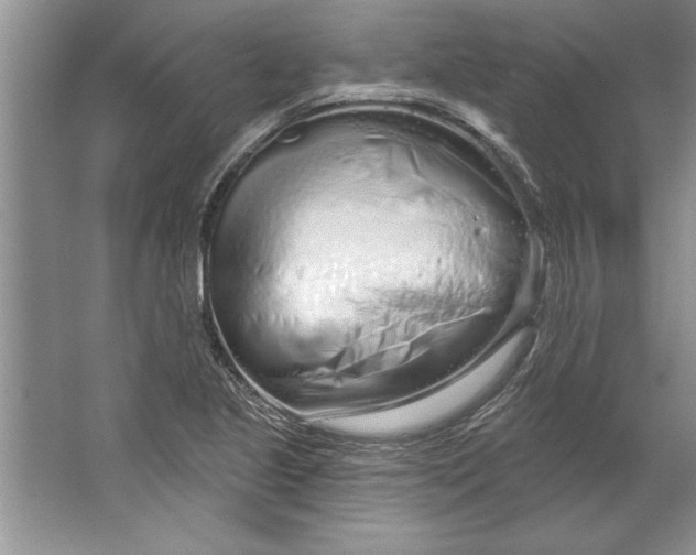 X0000064721221200603031607