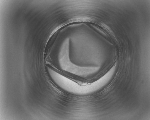 X0000064721226200603031607
