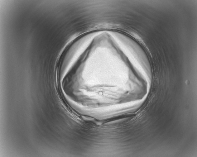 X0000064721227200603031607